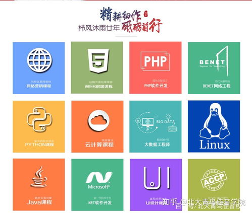 北大青鸟基础软件服务专业详解及学费参考