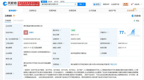 智谱AI湖北黄石新公司 应用软件服务助力区域数字化发展